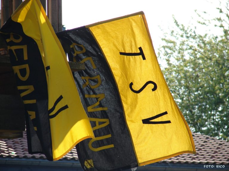 Fahne TSV Bernau